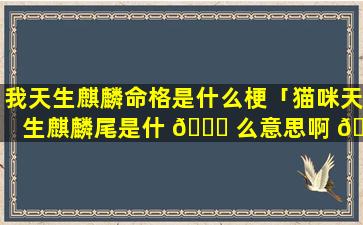 我天生麒麟命格是什么梗「猫咪天生麒麟尾是什 🐛 么意思啊 🍀 」